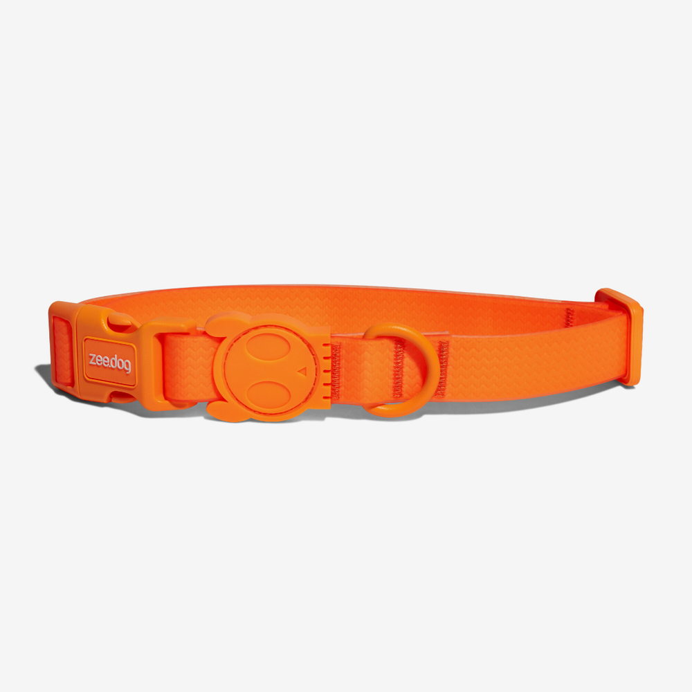 Ошейник NEOPRO TANGERINE Zee.Dog