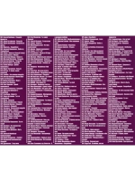 Свадебный СуперСборник (MP3 Флешка)