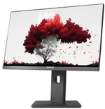 Монитор 23,8" RDW Computers RDW2402K