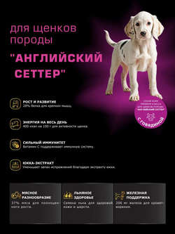 Корм сухой для щенков породы Английский сеттер, с говядиной, 12 кг, QUATTRO