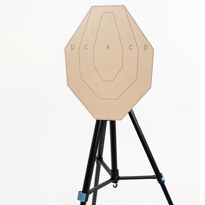 ФЕНИКС мишень электронная