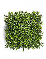 Самшитовый коврик Новый в-7 см, 25х25 см (пластик) 6/72 20.5926CP