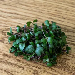 Красная капуста на корне (лоток) / 40 гр