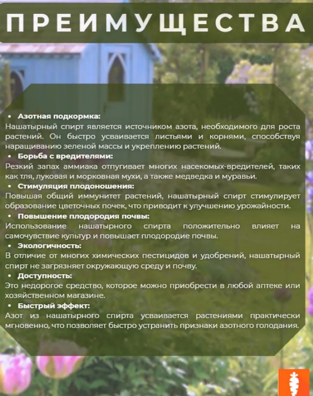Нашатырный спирт , 0,5 л