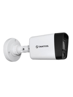 Видеокамера IP TSi-P2FP