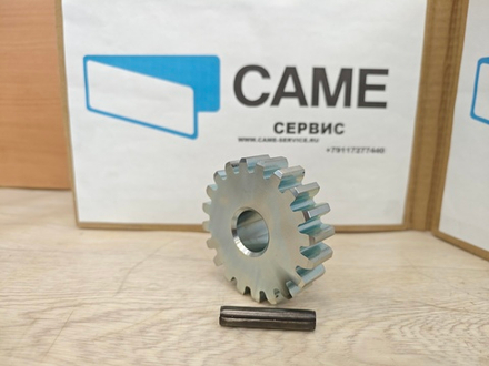 119RIY010 Шестерня ведущая BX