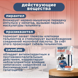 Суспензия от гельминтов для собак и щенков от 25 до 50 кг Празител Особый, 20мл. Празиквантел/Пирантел/Экстракт расторопши