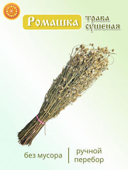 Ромашка пучок, 1 шт.