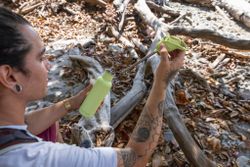 Бутылка Klean Kanteen Classic Flip Sport 27oz (800 мл) Shadow Lime