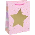 Пакет подарочный «Блеск» 18*24*8,5 см