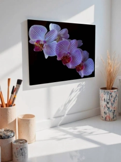 Картина на стену 40 X 50 Орхидея