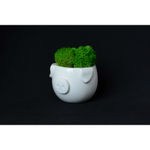 Набор для выращивания eco мини-кашпо «Минипиг»