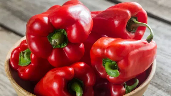 Технология посева и пересадки перца