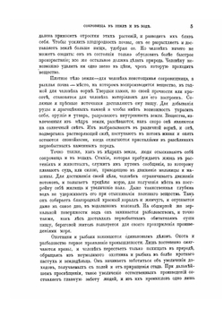 Подвиги человеческого ума. Том 2 | П. Ольхин