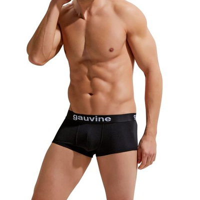 Мужские трусы-боксеры с брендированной резинкой Gauvine (Размер: L) (Цвет: черный)
