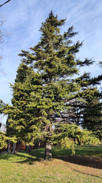 Обучающий курс для новичков 24 января - 01 февраля 2026