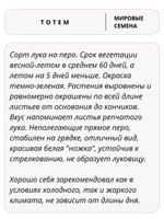 Семена лук Тотем на зелень, 10 гр. семян (Вита Грин / Профи)