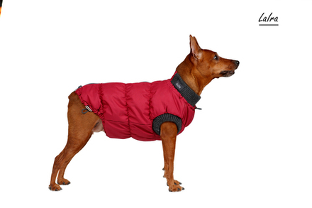 жилетка СНЕЖИНКА утепленная для мальчика