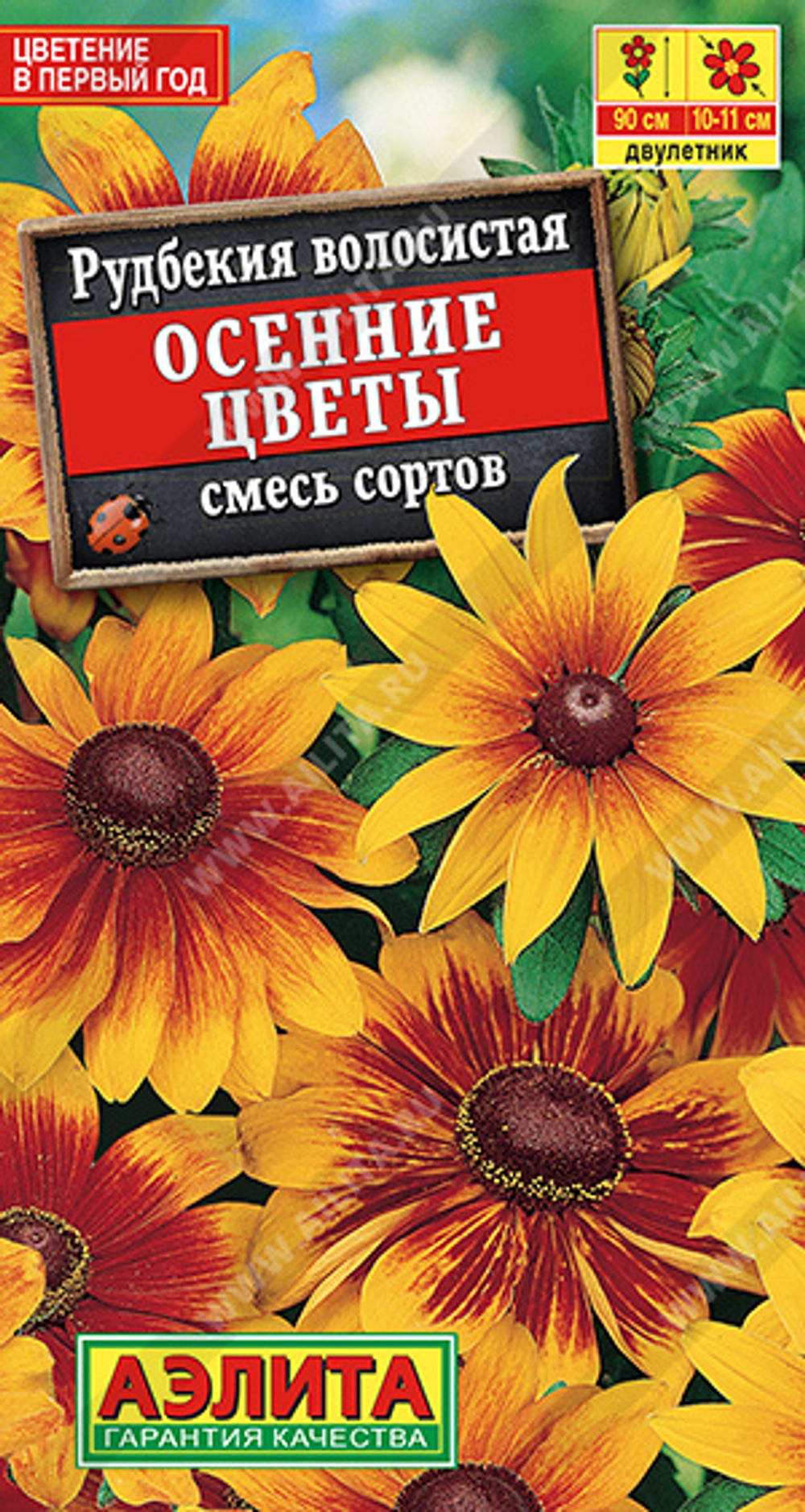 Рудбекия волосистая Осенние цветы, смесь сортов