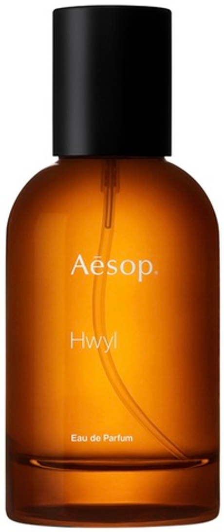 Aesop Hwyl