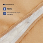 Подушка BuyTravel (в дорожном чехле)