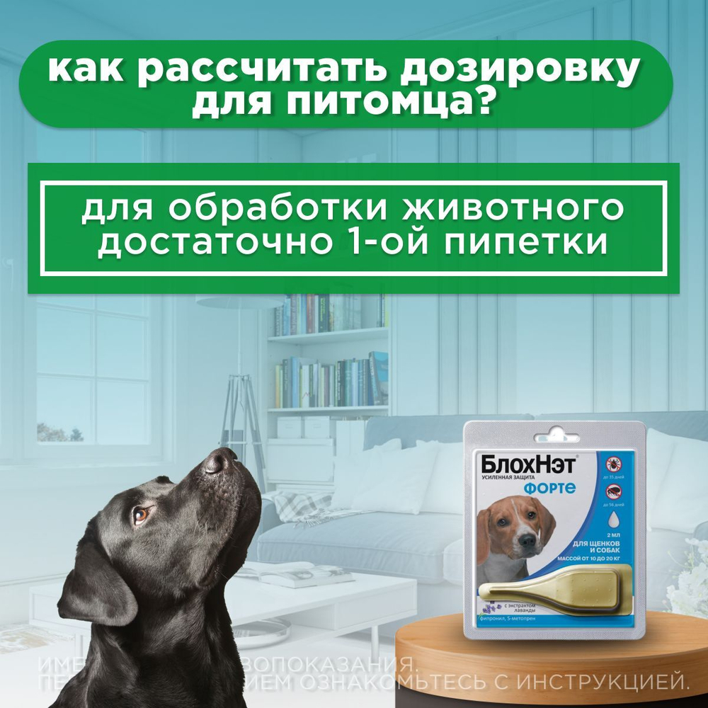 Капли для щенков и собак от 10 до 20 кг от блох, клещей, вшей, власоедов, а так же для лечения ушной чесотки и предотвращения нападения комаров БлохНэт Форте (Астрафарм), 1пипетка