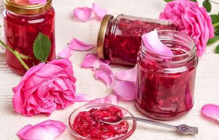 Новинки