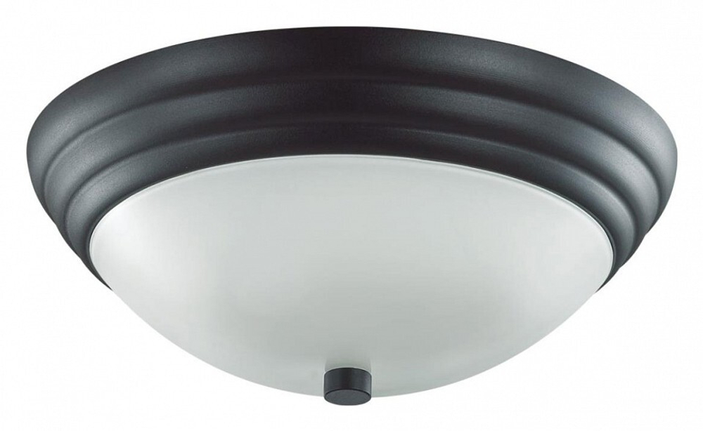 Накладной светильник Lumion 5263/2C