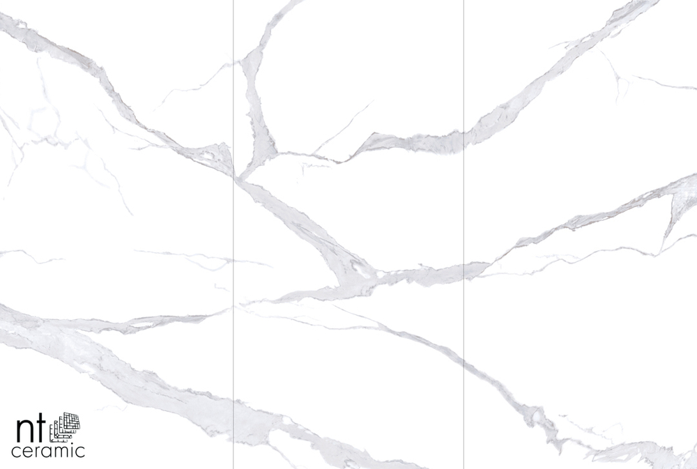 NT CERAMIC. Керамогранит Bianco Statuario 120*240см