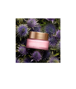 Clarins Multi-Active Jour Antioxidant Day Cream - Антиоксидантный дневной крем для сухой кожи /   50  ml  / GTIN 3666057012198