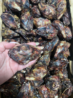 Головы кролика (сушеное лакомство) (цена за 100гр)