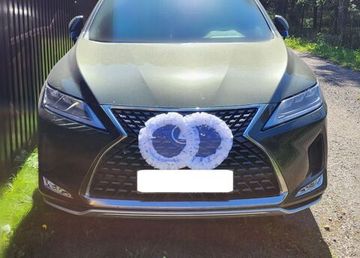 Свадебные кольца для украшения машины, белые