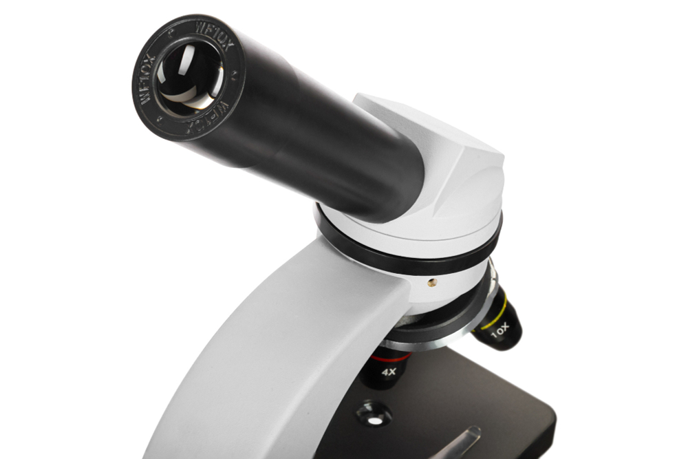 Микроскоп Levenhuk Discovery Nano Polar с книгой