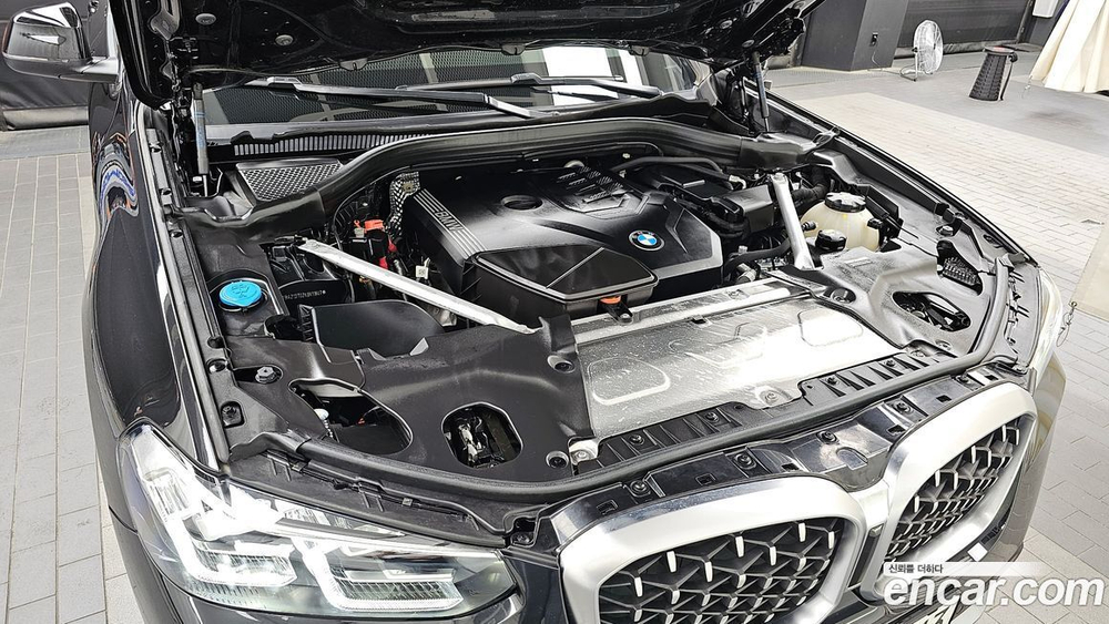 BMW X4 (G02) xDrive20i xLine (09.2022)