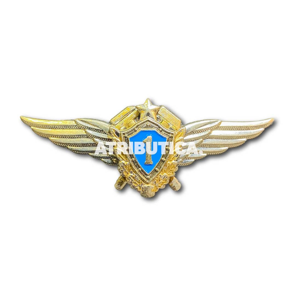 Знак Нагрудный Летная Классность Техник 1 Класс | ATRIBUTICASTORE.RU