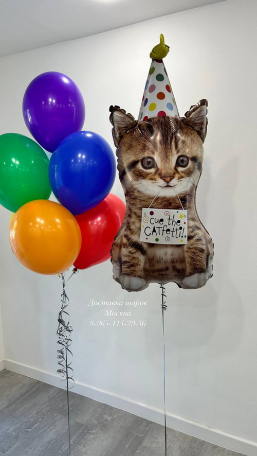 Котенок с шариками