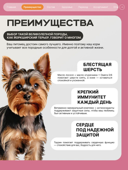 Корм сухой для взрослых собак породы Йоркширский терьер, с индейкой, 3 кг, QUATTRO