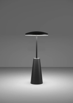 Аккумуляторная настольная лампа Eglo PICCOLA 900925