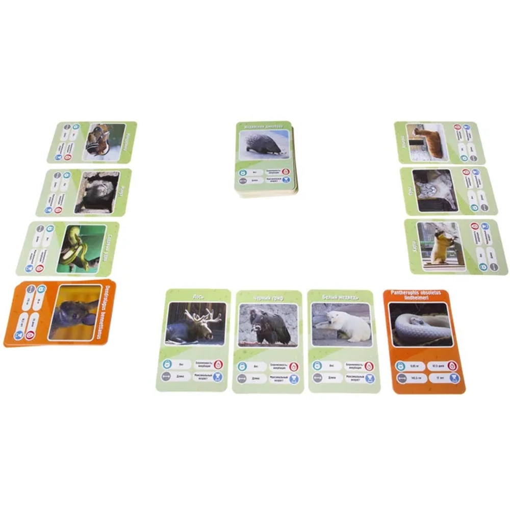 Настольная карточная игра Это факт! ЗООПАРК