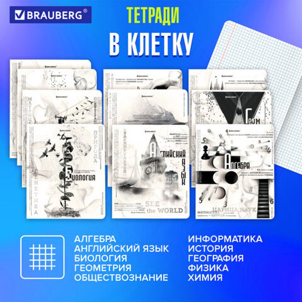 Тетради предметные, КОМПЛЕКТ 12 ПРЕДМЕТОВ, "BLACK&WHITE", 48 л., матовая ламинация, BRAUBERG, 404835