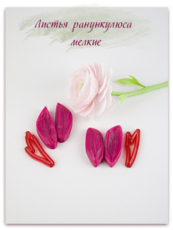 Мини листья ранункулюса