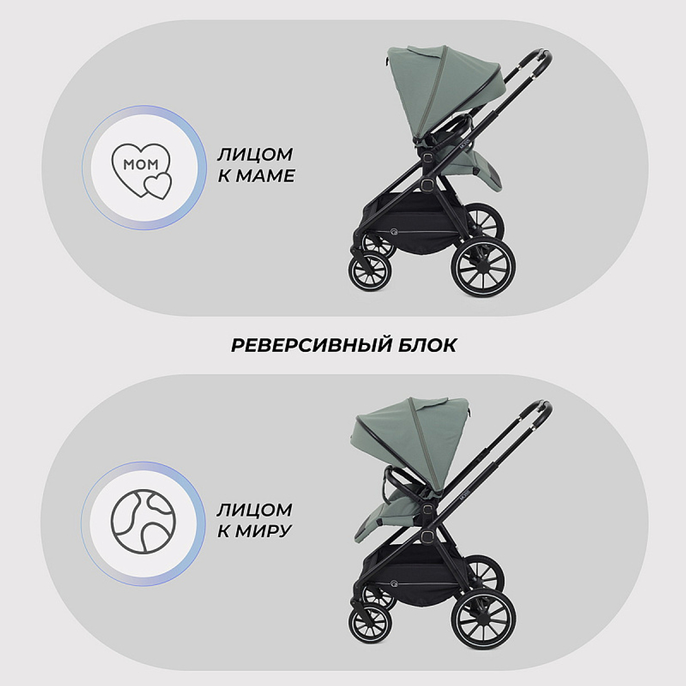 Детская коляска Rant Moss 2 в 1 Green