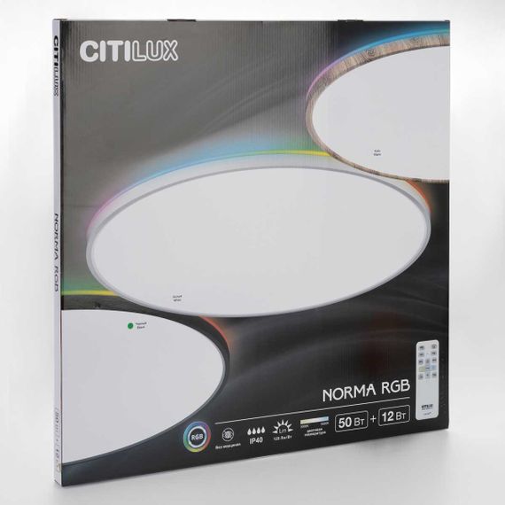 Потолочный светильник Citilux NORMA CL749601