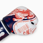 Боксёрские перчатки Twins Special FBGVL3-44 Yant