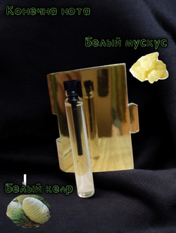 Парфюмерная вода мужская СвеТLана Mr. Newl C&M074-14 3 мл