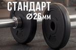 Диск 26 мм. пластиковый  5,0 кг VictoryFit VF-SPL26050