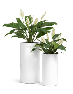 Кашпо TREEZ Effectory - серия Gloss - Цилиндр высокий- Белый глянцевый лак