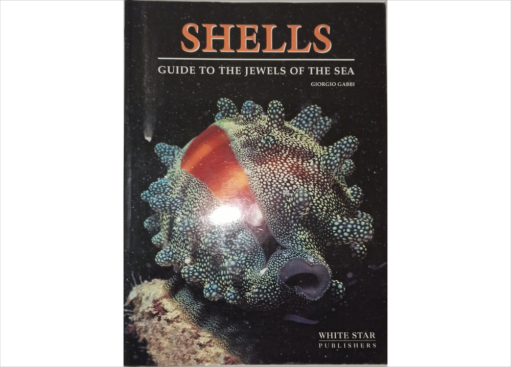 Книга shells guide to the jewels of the sea, Б/У
