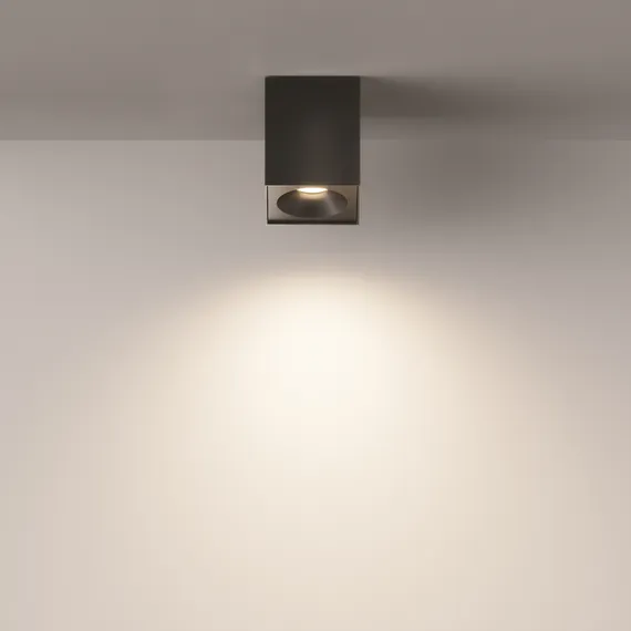 Потолочный светильник Зум / Zoom 1*GU10 10 Вт IP 54 Technical c030cl-01b