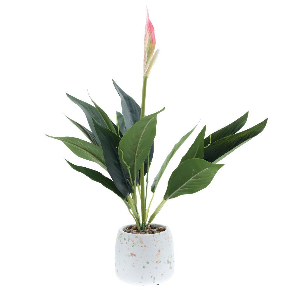 GAEM Цветочная композиция "Спатифиллум", L17 W12 H40 см